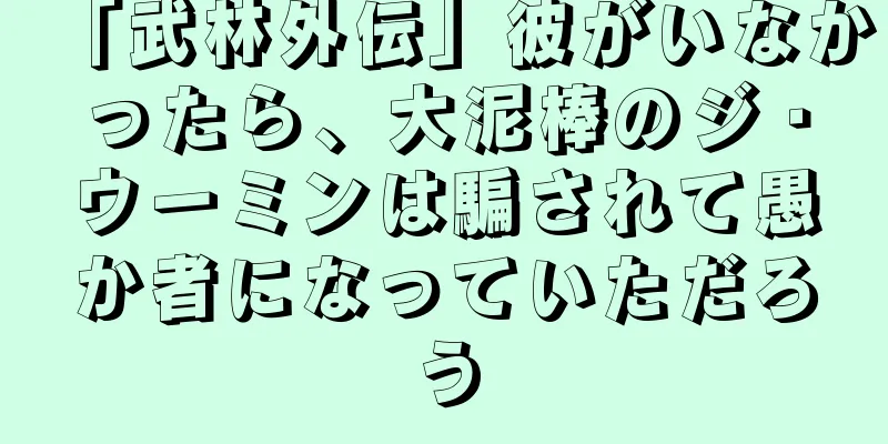 「武林外伝」彼がいなかったら、大泥棒のジ・ウーミンは騙されて愚か者になっていただろう