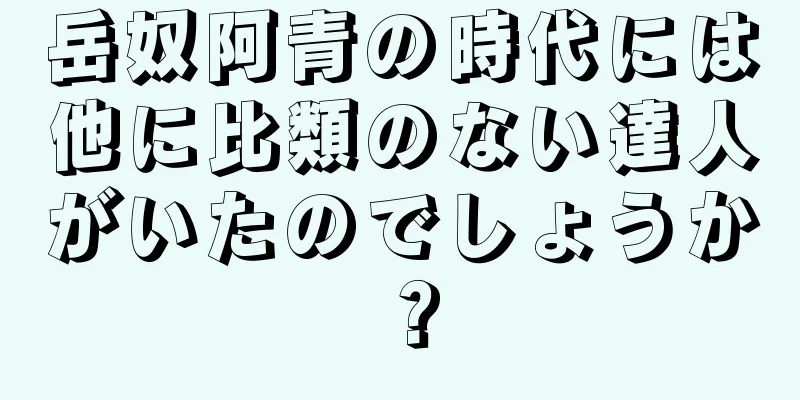 岳奴阿青の時代には他に比類のない達人がいたのでしょうか？