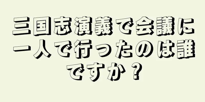 三国志演義で会議に一人で行ったのは誰ですか？