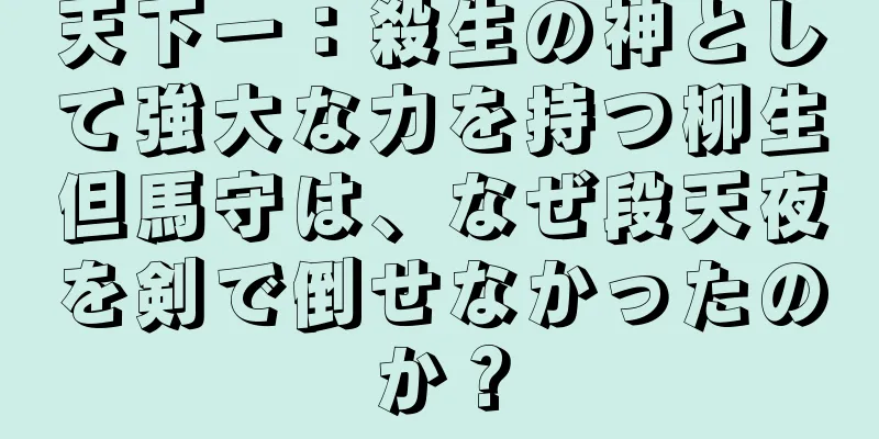 天下一：殺生の神として強大な力を持つ柳生但馬守は、なぜ段天夜を剣で倒せなかったのか？