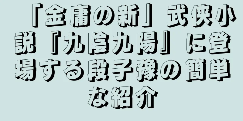 「金庸の新」武侠小説『九陰九陽』に登場する段子豫の簡単な紹介