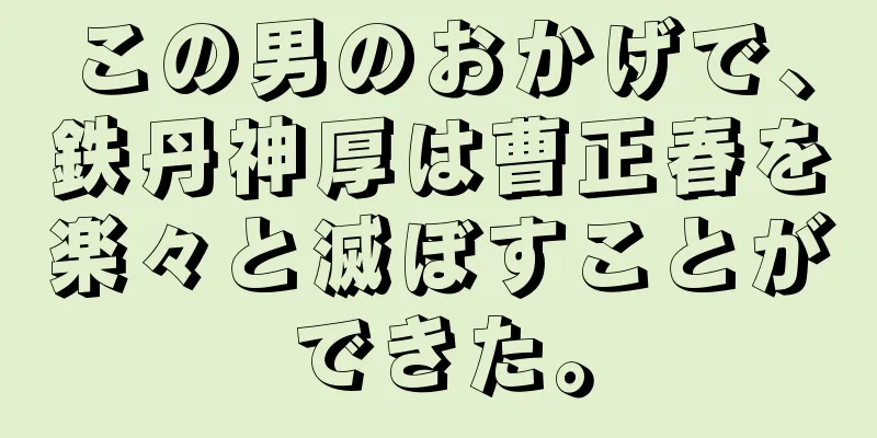 この男のおかげで、鉄丹神厚は曹正春を楽々と滅ぼすことができた。