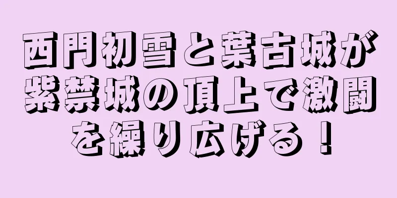 西門初雪と葉古城が紫禁城の頂上で激闘を繰り広げる！