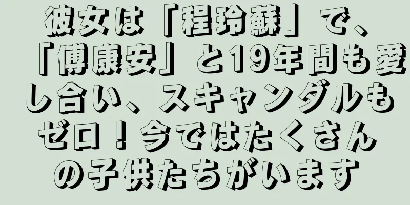 彼女は「程玲蘇」で、「傅康安」と19年間も愛し合い、スキャンダルもゼロ！今ではたくさんの子供たちがいます