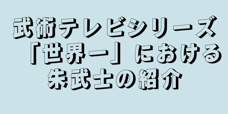 武術テレビシリーズ「世界一」における朱武士の紹介