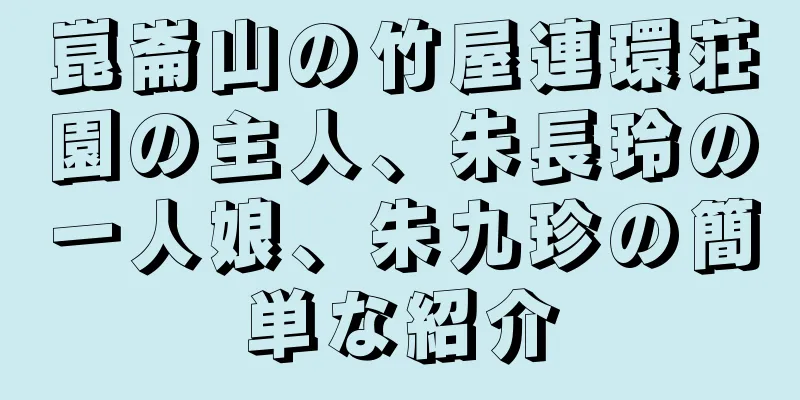 崑崙山の竹屋連環荘園の主人、朱長玲の一人娘、朱九珍の簡単な紹介
