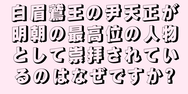 白眉鷲王の尹天正が明朝の最高位の人物として崇拝されているのはなぜですか?