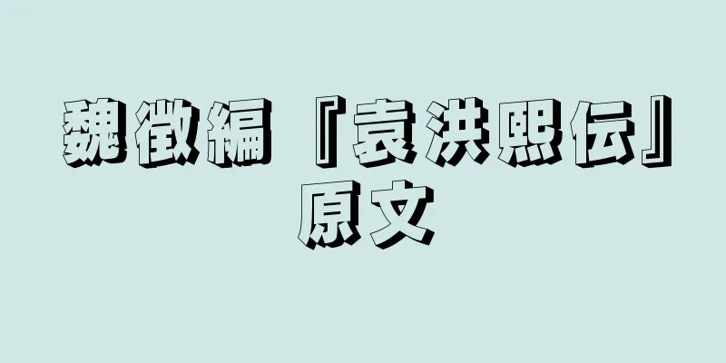 魏徴編『袁洪熙伝』原文