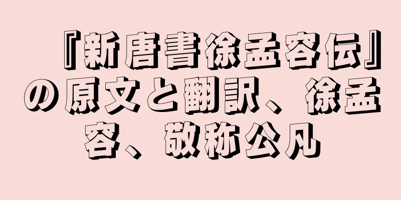 『新唐書徐孟容伝』の原文と翻訳、徐孟容、敬称公凡