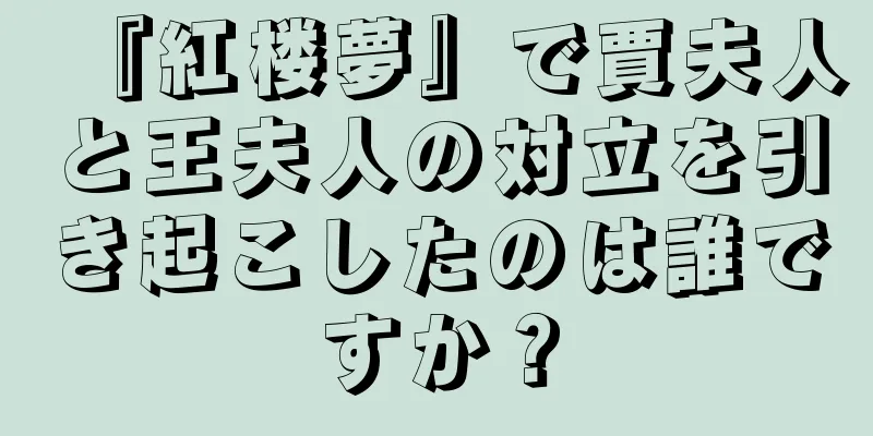 『紅楼夢』で賈夫人と王夫人の対立を引き起こしたのは誰ですか？