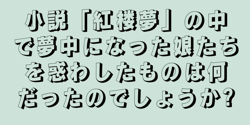 小説「紅楼夢」の中で夢中になった娘たちを惑わしたものは何だったのでしょうか?
