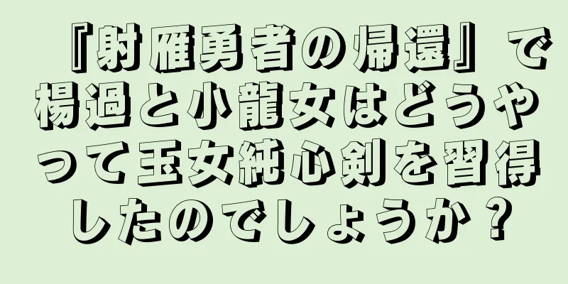 『射雁勇者の帰還』で楊過と小龍女はどうやって玉女純心剣を習得したのでしょうか？