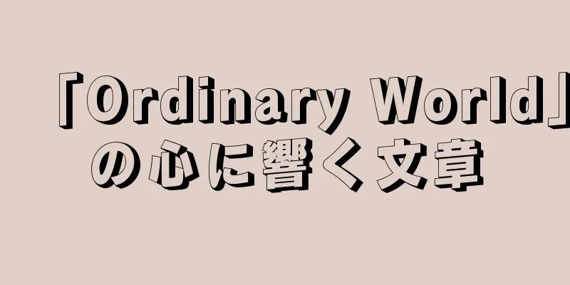 「Ordinary World」の心に響く文章