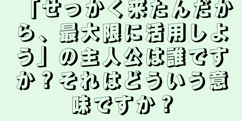 「せっかく来たんだから、最大限に活用しよう」の主人公は誰ですか？それはどういう意味ですか？